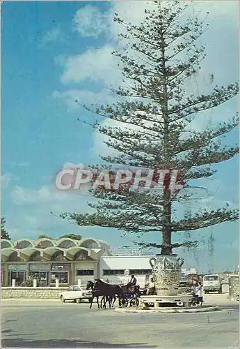 Cartes postales moderne Tunisie Nabeul La gare et sa Plante en Pot