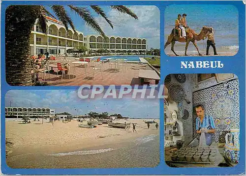 Cartes postales moderne Nabeul et l'hotel Nabeul