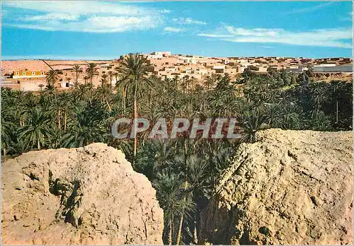 Cartes postales moderne Sud Tunisien Nefta au bout du deset ouverture sur la vie