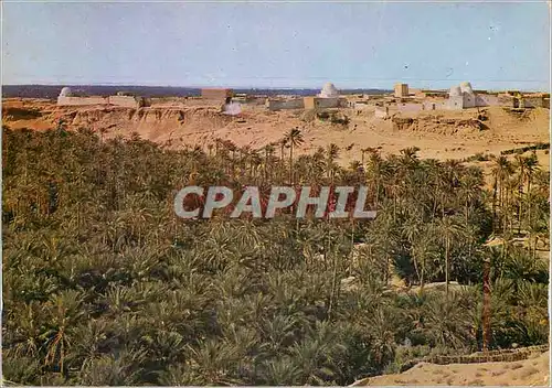 Cartes postales moderne Tunisie Nefta La Corbeille