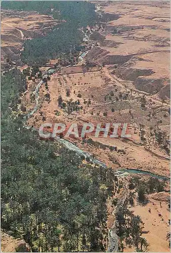 Moderne Karte Nefta La Corbeille