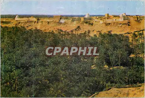 Cartes postales moderne Nefta La Corbeille