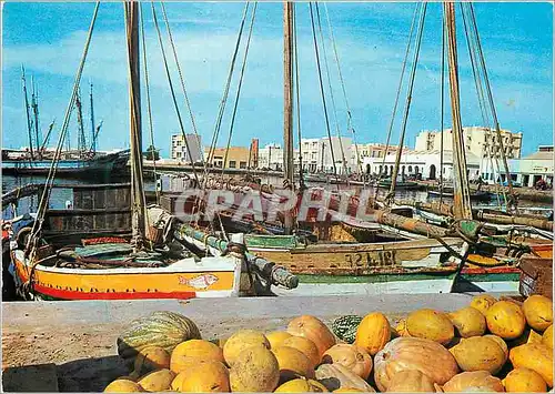 Cartes postales moderne Sfax Le Vieux port Bateaux