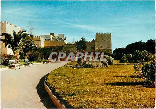 Cartes postales moderne Sfax Jardins au pied des Remparts