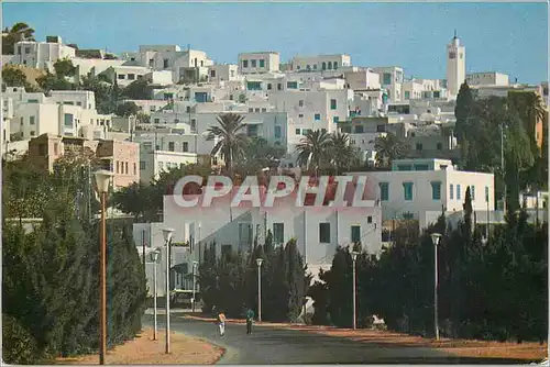 Moderne Karte Sidi Bou Said