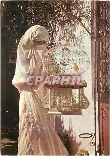 Cartes postales moderne Sidi Bou Said