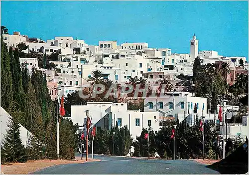 Moderne Karte Sidi Bou Said