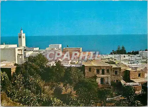 Cartes postales moderne Sidi Bou Said