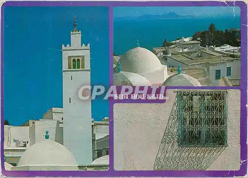 Cartes postales moderne Sidi Bou Said