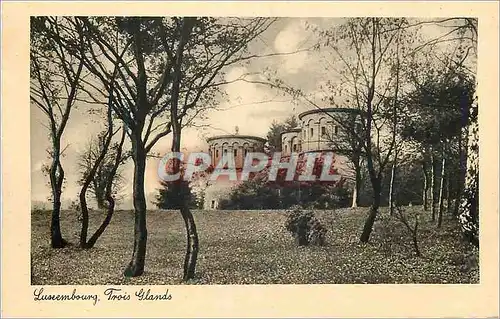 Cartes postales moderne Luxembourg Trois Glands