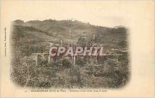 Cartes postales Madagascar Foret de l'Est Tombeau d'une tribu dans la foret