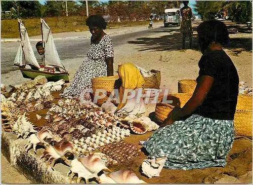 Cartes postales moderne Tulear Marchandes de Coquillages