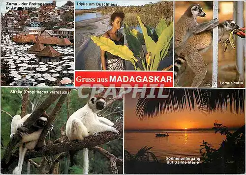 Moderne Karte Gruss aus Madagaskar Singes