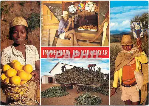 Moderne Karte Impressions de Madagascar