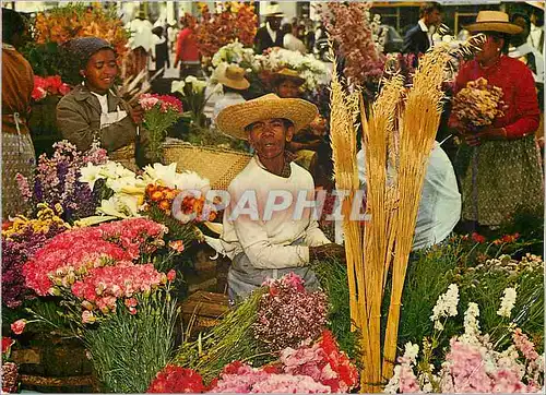 Moderne Karte Madagascar Tananarive Marche aux fleurs au Zoma