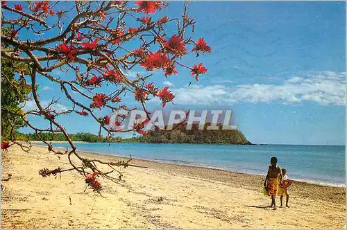 Cartes postales moderne Madagascar