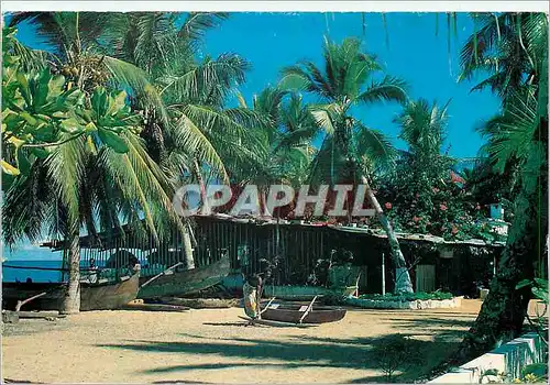 Cartes postales moderne La Residence d'Ambatoloaka