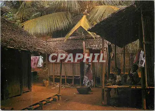 Cartes postales moderne Madagascar Village de la Cote Est