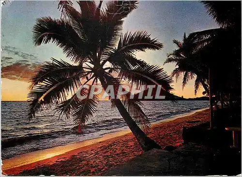 Cartes postales moderne Madagascar Nossi Be Plage d'Ambatoloka