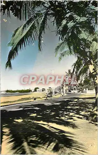 Cartes postales moderne Madagascar Tamatave