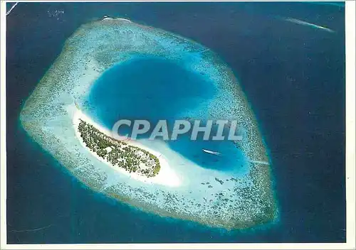 Cartes postales moderne Maldives Nacatcha