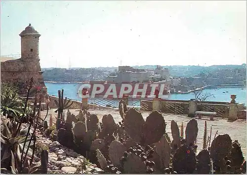 Cartes postales moderne Kalkara Gardens Floriana