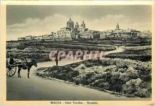 Cartes postales moderne Malta Citta Vecchia Notabile Ane Donkey
