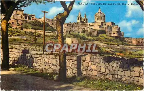 Cartes postales moderne Malta The Cathedral and the Old Capital Mdina