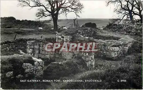 Cartes postales moderne East Gateway Roman Fort Amboglanna Birdoswald