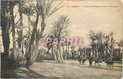 Cartes postales Maroc Caravane de Bourrrcote dans la Palmeraie