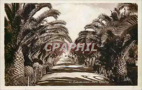 Cartes postales Casablanca Parc Lyautey