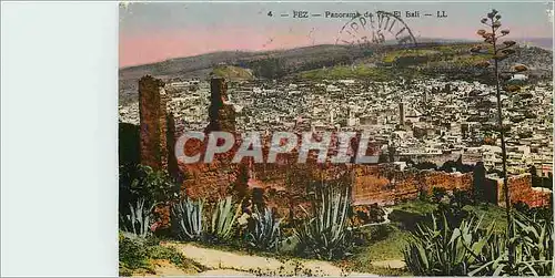 Cartes postales Fez Panorama