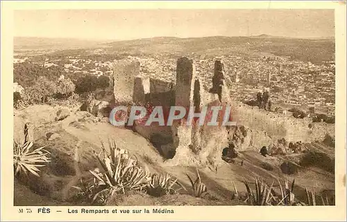 Cartes postales Fes Les Remparts et vue sur la Medina