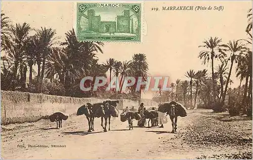 Ansichtskarte AK Marrakech Piste de Saffi Ane Donkey