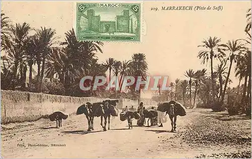 Cartes postales Marrakech Piste de Saffi Ane Donkey