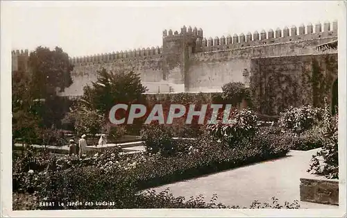Cartes postales Rabat Le jardin des Oudaias