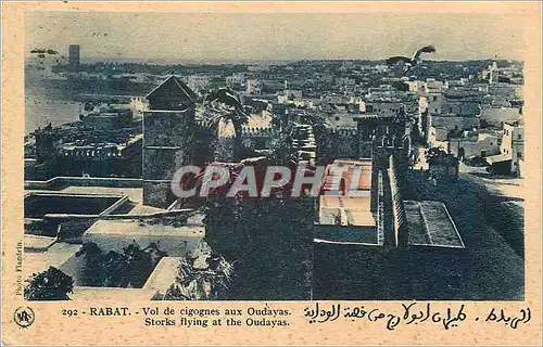 Cartes postales Rabat Vol de cigognes aux Oudayas