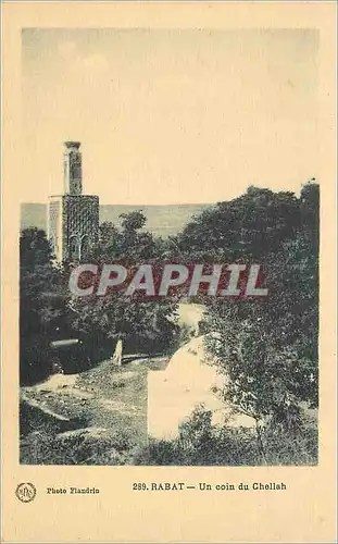 Cartes postales Rabat Un coin du Chellah
