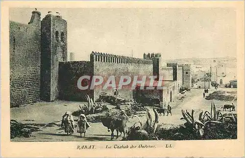 Cartes postales Rabat La Coshab des Oudaias Ane Donkey