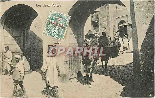 Cartes postales Les deux Portes Ane Donkey
