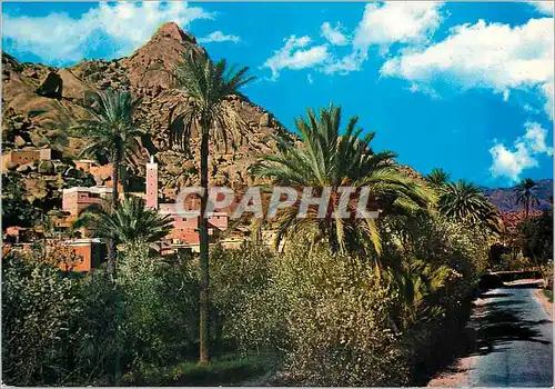 Cartes postales moderne Dans la Vallee de Tafraoute