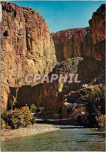 Cartes postales moderne Scenes et types du Maroc Gorges du Todra a Tinerhir