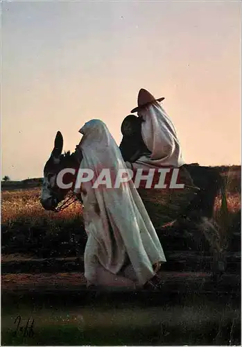 Moderne Karte Poesie du Maroc