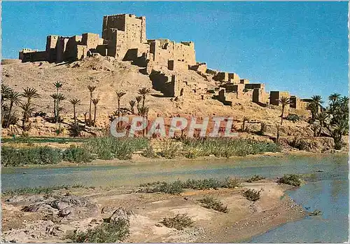 Cartes postales moderne Le Maroc Pittoresque Casbah de Tifoultout