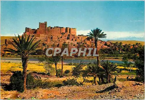 Cartes postales moderne Scenes et types du Maroc Kasbah de Tifoultout