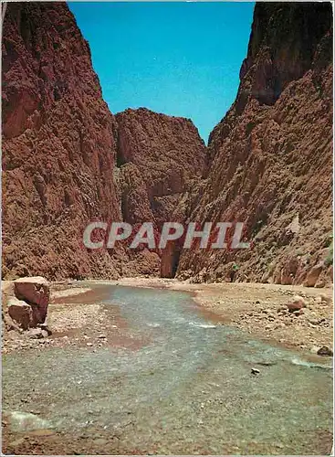Cartes postales moderne Scenes et Types du Maroc Les Gorges du Todra