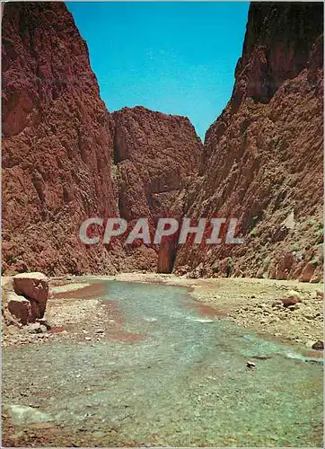 Cartes postales moderne Scenes et Types du Maroc Les Gorges du Todra