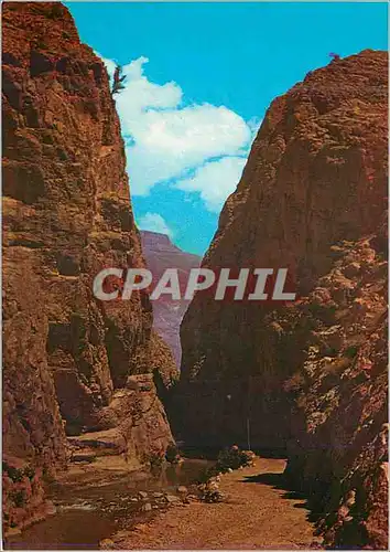 Cartes postales moderne Le Maroc Pittoresque Les gorges du Dades