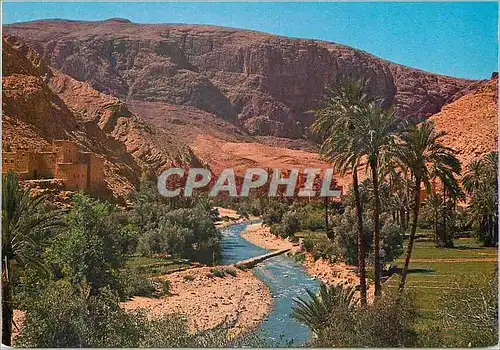 Cartes postales moderne Maroc typique La Vallee du Dra