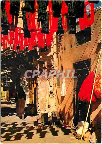 Cartes postales moderne Scenes et types du Maroc Souk des Teintures